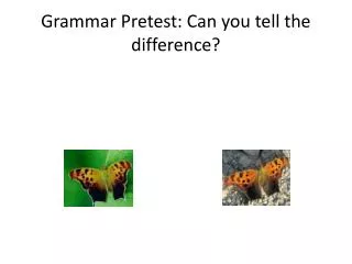 Grammar Pretest: Can you tell the difference?