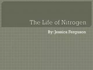 The Life of Nitrogen