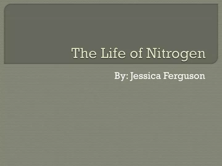 the life of nitrogen