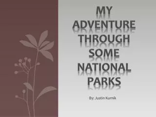 My Adventure Through Some National Parks