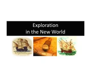 Exploration in the New World