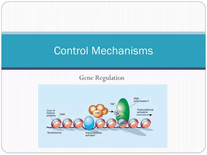 control mechanisms
