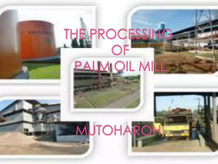 the processing of palm oil mill mutoharoh