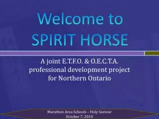 Welcome to SPIRIT HORSE