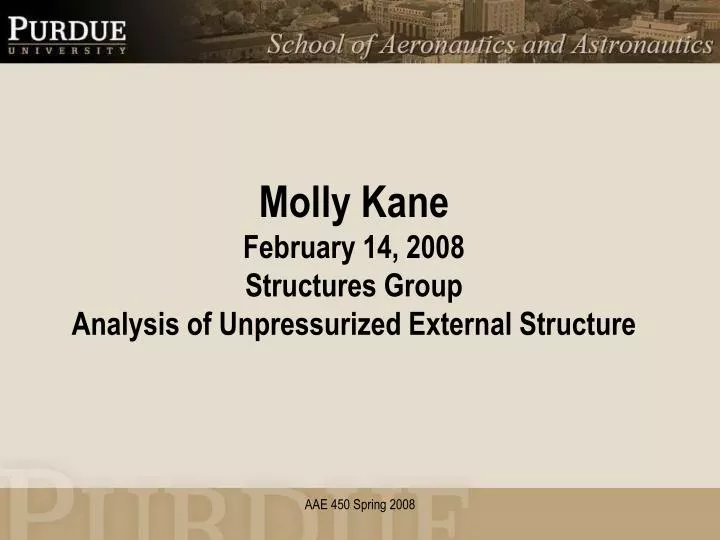 molly kane february 14 2008 structures group analysis of unpressurized external structure