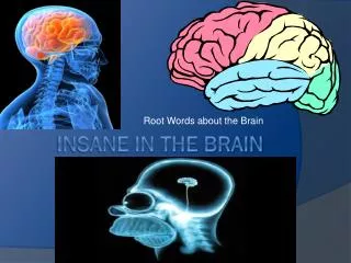 Insane in the Brain