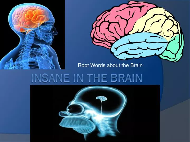 root words about the brain