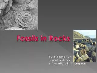 Yu ＆ Young Yun PowerPoint By Yu In formations By Young Yun