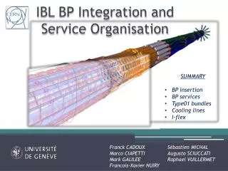 IBL BP Integration and Service Organisation