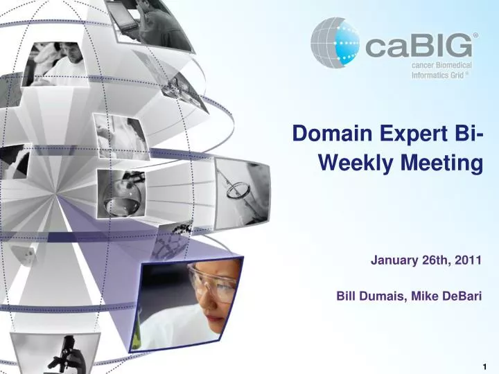 domain expert bi weekly meeting