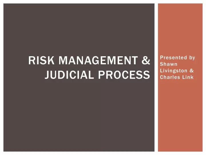 risk management judicial process