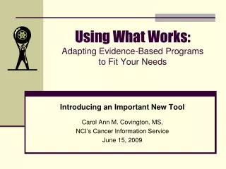Using What Works: Adapting Evidence-Based Programs to Fit Your Needs