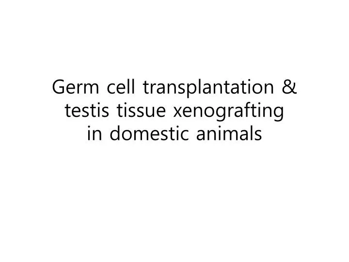 germ cell transplantation testis tissue xenografting in domestic animals