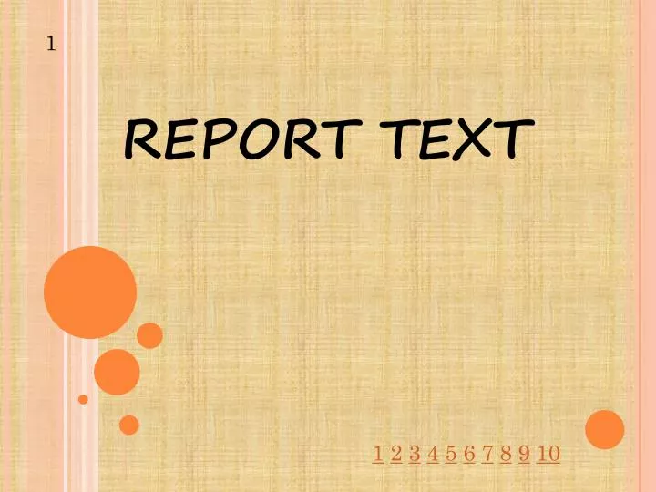 report text