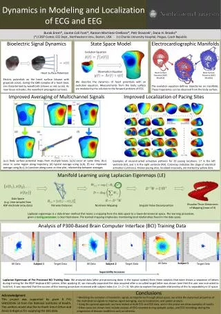 Dynamics in Modeling and Localization of ECG and EEG