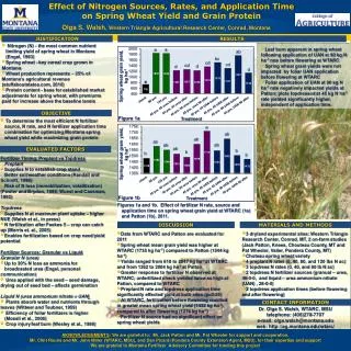 Effect of Nitrogen Sources, Rates, and Application Time on Spring Wheat Yield and Grain Protein