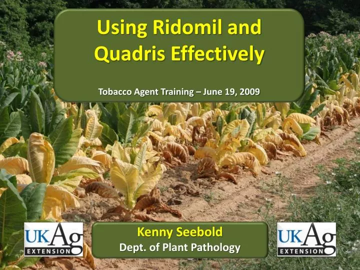 using ridomil and quadris effectively tobacco agent training june 19 2009