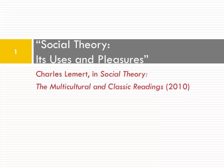 social theory its uses and pleasures