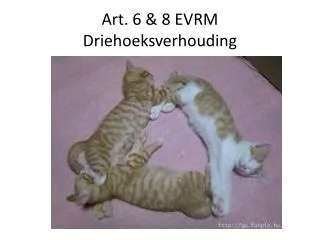 art 6 8 evrm driehoeksverhouding