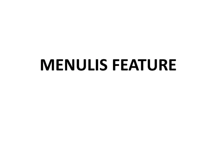 menulis feature