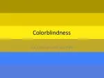 Colorblindness - slide 1