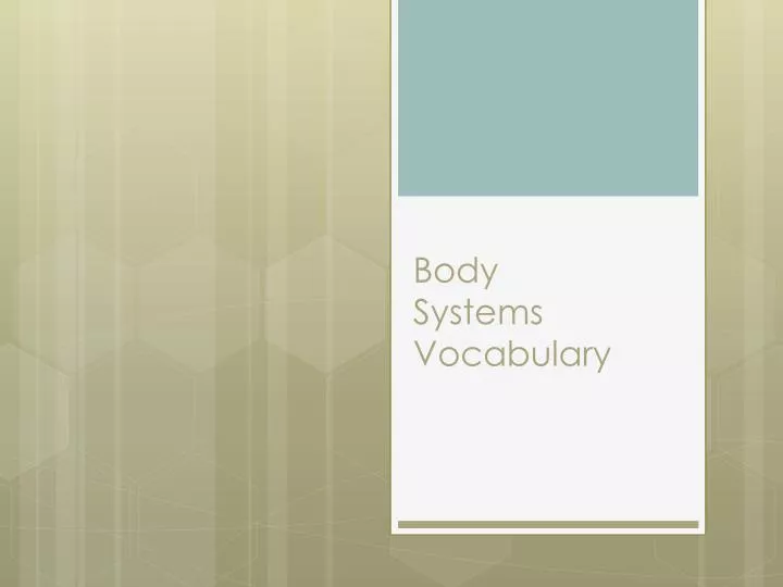 body systems vocabulary