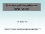 Evaluation and Interpretation of Renal Function - slide 1
