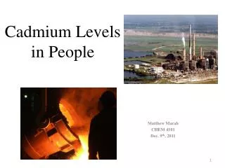 Cadmium Levels in People