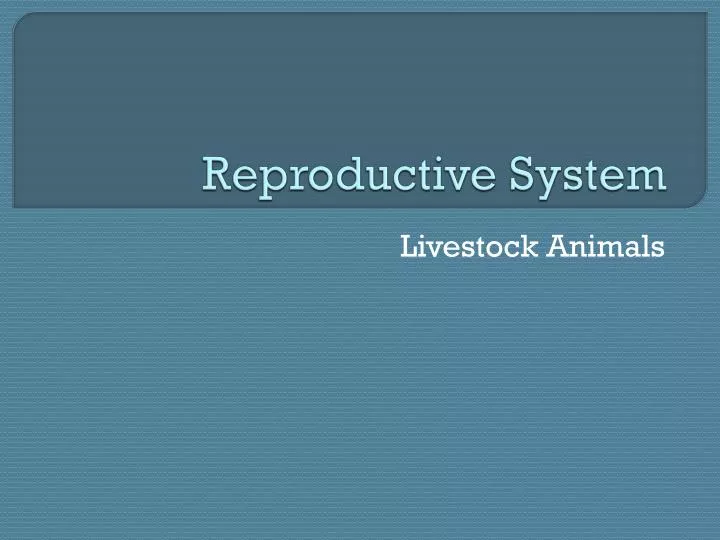 reproductive system