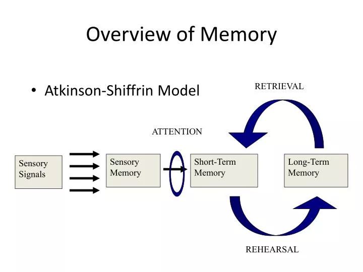 overview of memory