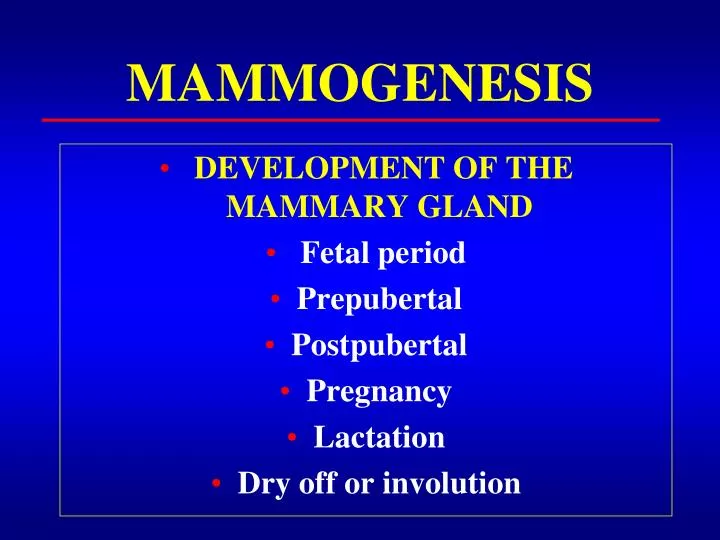 mammogenesis