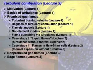 Turbulent combustion (Lecture 3)