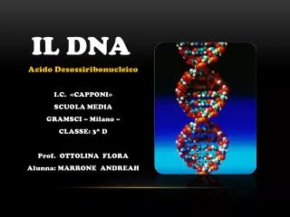 il dna