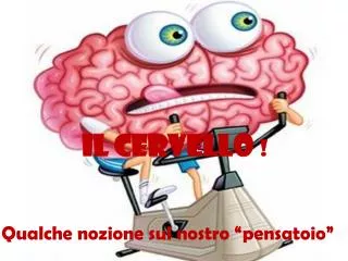 il cervello