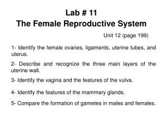 Lab # 11