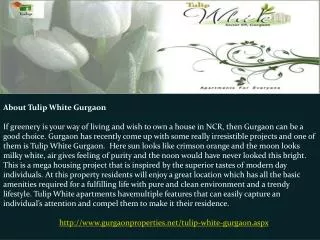Tulip White Gurgaon