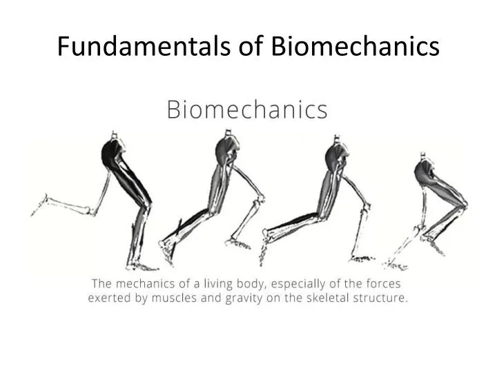 fundamentals of biomechanics