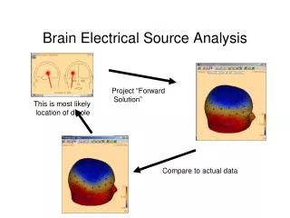 Brain Electrical Source Analysis