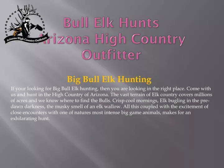 bull elk hunts arizona high country outfitter