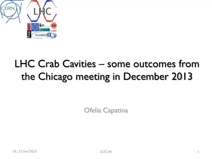 lhc crab cavities some outcomes from the chicago meeting in december 2013