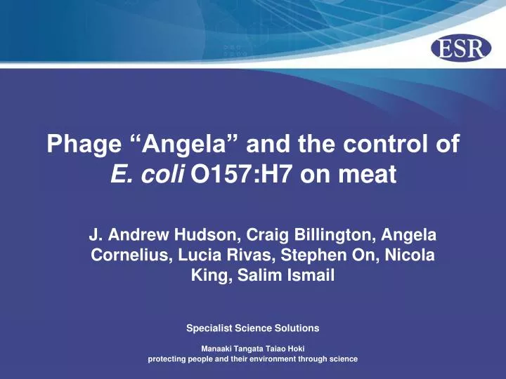 phage angela and the control of e coli o157 h7 on meat