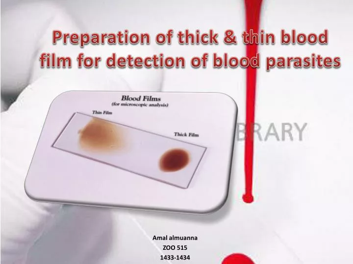 preparation of thick thin blood film for detection of blood parasites