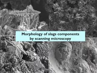 Morphology of slags components by scanning microscopy