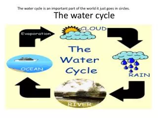 The water cycle