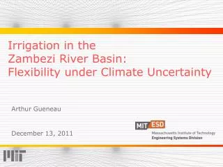 Irrigation in the Zambezi River Basin: Flexibility under Climate Uncertainty