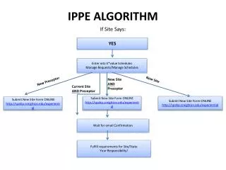 IPPE ALGORITHM