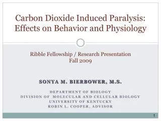 Ribble Fellowship / Research Presentation Fall 2009