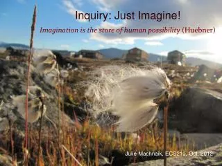 Inquiry: Just Imagine! Imagination is the store of human possibility (Huebner)