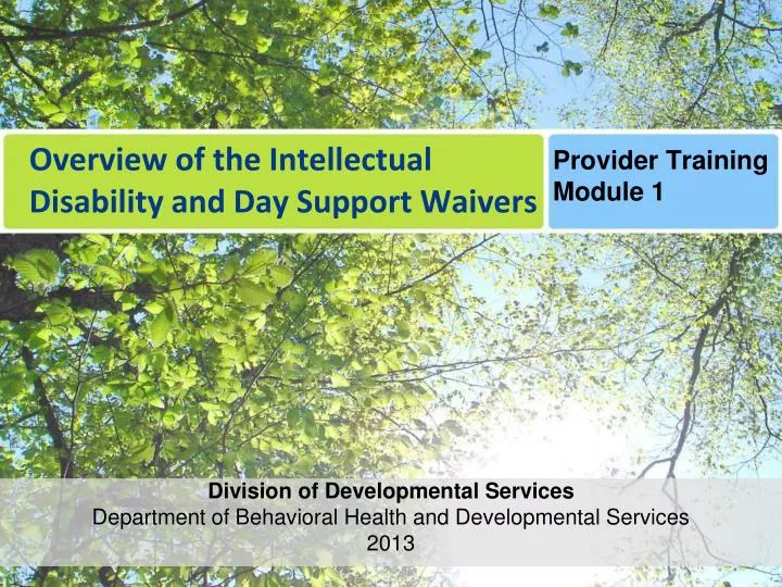overview of the intellectual disability and day support waivers