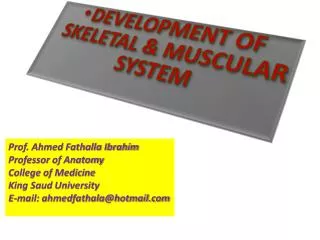 DEVELOPMENT OF SKELETAL &amp; MUSCULAR SYSTEM